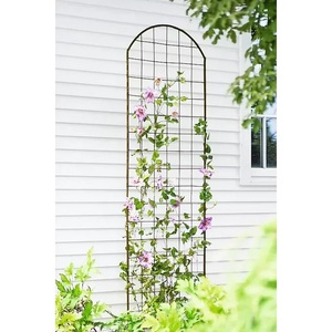Vinyle plastique enduit pelouse jardin vigne <span class=keywords><strong>plante</strong></span> acier treillis panneau plantes grimpantes croissance soutien cour parc couleur noire - Product Image 3