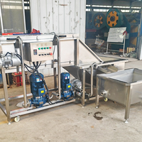 Lonkia Fabriek Aangepaste Productie Industriële Gember Verwerkingslijn Verse Gember Wasmachine