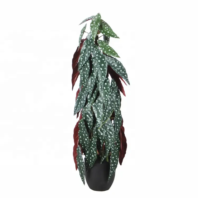 Factory directly PE Real Touch Large Leaf Decorative White Ice Begonia Artificial Plant