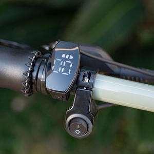 Mario Factory Fat Bike Vélo électrique 350W Rétro Jeune vélo électrique Cyclomoteur <span class=keywords><strong>Super</strong></span> Fast <span class=keywords><strong>73</strong></span> Li-Battery Off-road Ebike frame - Product Image 4