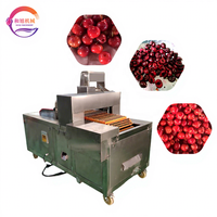 Commerciële Fruitkern Verwijderingsmachine Kersenzaad Pitting Kersenverwerkingsmachines Fabrieksprijs