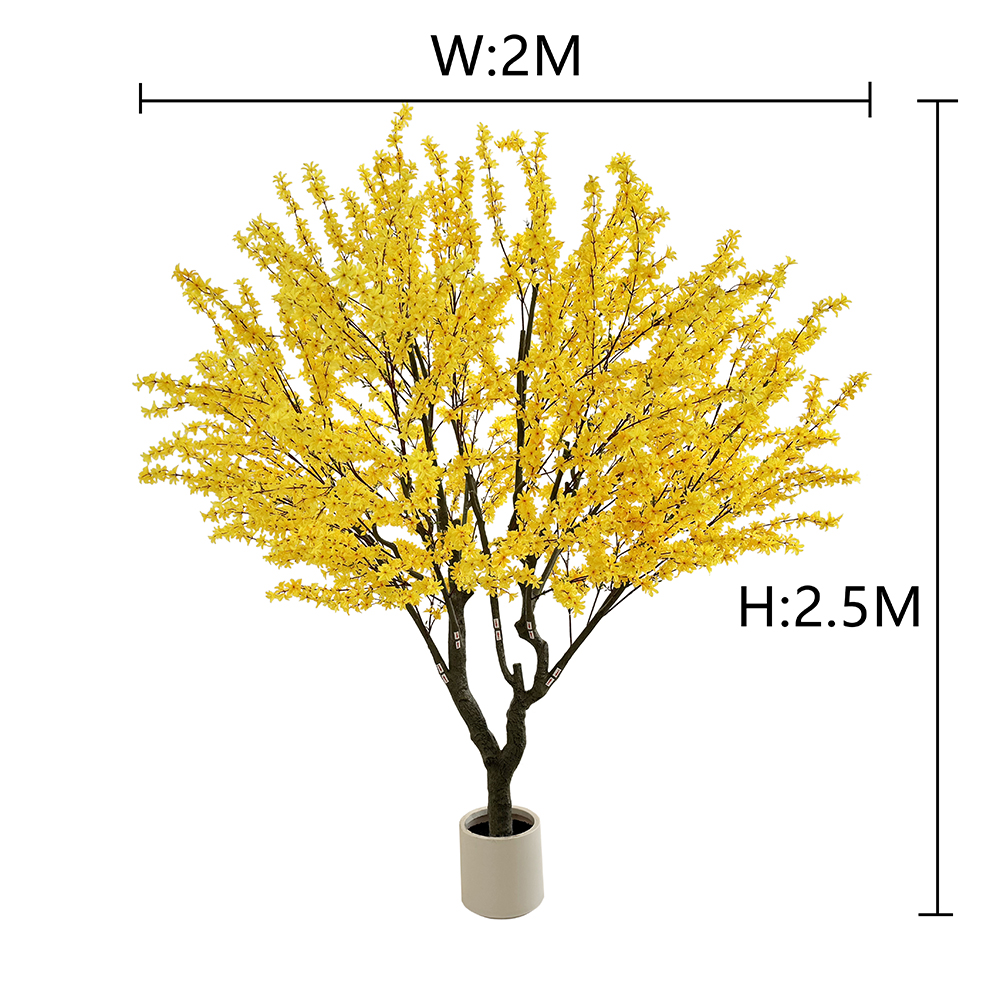 250cm