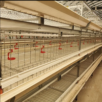 Cage à poulets de type H pour 90 à 200 poulets, cage à poulets galvanisée, équipement d'élevage avicole, cage à poulets automatique