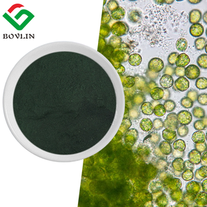 ผงคลอเรลล่าออร์แกนิกขายส่งแบบเป็นกิโลกรัม ผงคลอเรลล่า วัลการิส - Product Image 2