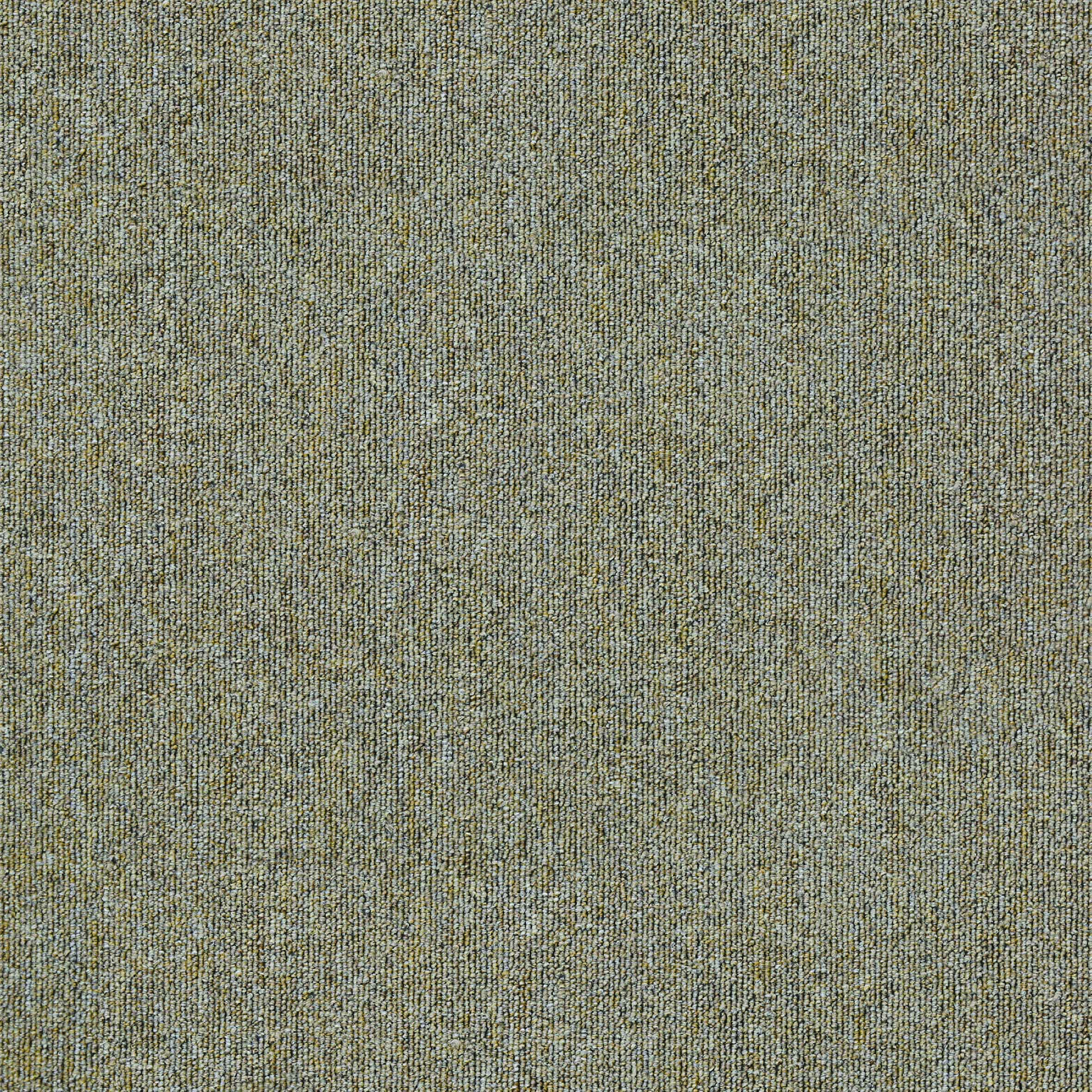 MDL05