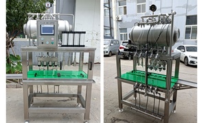 Machine manuelle semi-automatique de remplisseur de bouteilles de bière micro à vendre - Product Image 6