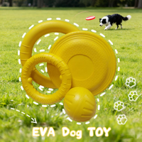 Kit de jouets pour chien en EVA de formes variées avec logo personnalisé, jouets à mâcher pour animaux de compagnie pour les cours de dressage, l'obéissance et les exercices de rapport