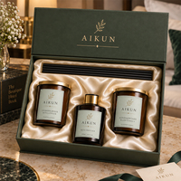 AIKUN Diffuseur de parfum d'ambiance haut de gamme, sans alcool, avec emballage personnalisé, boîte cadeau minimaliste, vente en gros, par une équipe de designers AIKUN