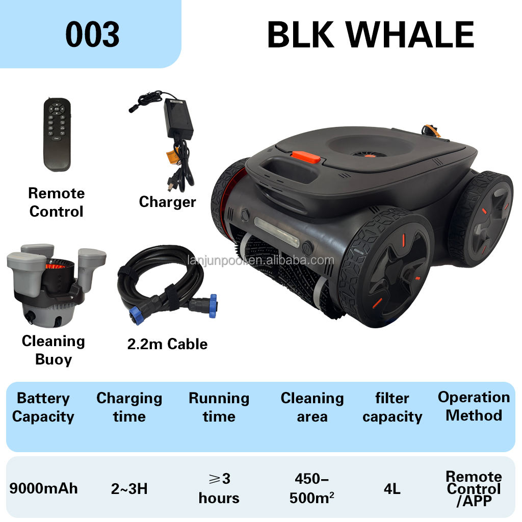 003 # Baleine noire (bouée de nettoyage)