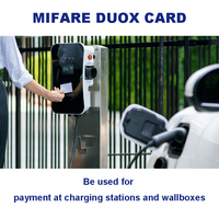 Para MIFARE DUOX Car Access Payment EV Carga Mini RFID NFC Interfaz 13,56 MHz Frecuencia Asimétrica Criptografía Especial Mini
