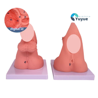 Modèle simplifié d'anatomie du périnée féminin pour la formation médicale PVC pour la pratique du cathétérisme féminin Science de la reproduction humaine