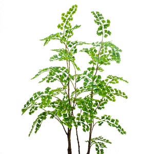 Arbre artificiel de <span class=keywords><strong>Ginkgo</strong></span> de 180 cm de haut, arbre de <span class=keywords><strong>Ginkgo</strong></span> <span class=keywords><strong>biloba</strong></span> réaliste pour la décoration intérieure de la maison et du bureau - Product Image 2