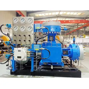 Top Quality 1000Nm3/H Hydrogen Generation Plant Mini Hydrogen Gas Diaphragm Compressor For Chemical Industry