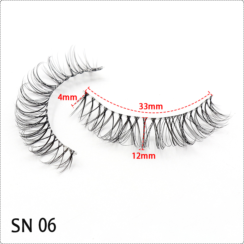 SN06