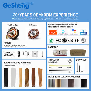 Ventilateur <span class=keywords><strong>de</strong></span> plafond moderne <span class=keywords><strong>de</strong></span> haute qualité à 4 pales, moteur à courant continu, étanchéité, ventilateur <span class=keywords><strong>de</strong></span> plafond avec lumière et télécommande - Product Image 3