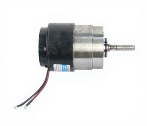 Motor de accionamiento de carretilla elevadora eléctrica para piezas de carretilla elevadora HC Donkey Kong accesorios 2017 - Product Image 1