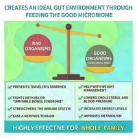 Enzymes Digestives Naturelles Capsule Supplément de Prébiotiques avec Propriétés Probiotiques Capsule Softgel Gummies