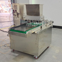 Dépôt manuel automatique industriel, puce de chocolat, Biscuit, Machine pour petite entreprise