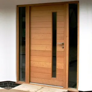 美式现代现代主入口木门房屋前门现代外部主枢轴内门