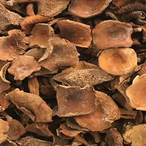 Продажа сушеных цельных грибов лактария волшебного, в форме молочной кепки от Nai jiang jun - Product Image 2