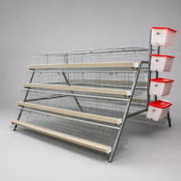Cage à poulets en batterie pour 1200 oiseaux, ensemble complet de type A, pour débutants, petite ferme, montage facile avec guide vidéo