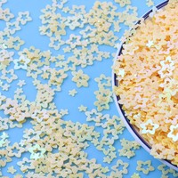 Perlengkapan Slime Kerajinan PVC 500g/kantong, Serpihan Glitter Bunga Berongga 7mm