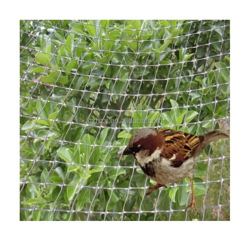Preço de fábrica Atacado Checkered Reutilizável Estufa Poly Plastic Bird Proof Netting Para Catching Birds