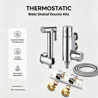 Robinet thermostatique miniature en laiton pour toilettes, douchette de bar, douchette bidet, douchette shattaf, kit douchette à main avec plaque de fixation