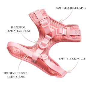 Set di Imbracature per Cani SinSky, Comode e di Lusso, Collare e Guinzaglio Regolabili, Set Personalizzato con Peonia, Imbracatura Anti-Trazione - Product Image 6