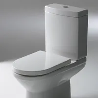 Modern Bathroom Sanitary Ware, Spy Siphonic
