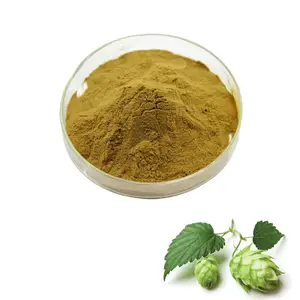 High quality hops plant extract Beer Humulus lupulus hops Flower extract powder