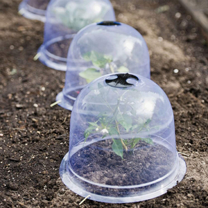 Cloche de semis VERTAK, couvercle de <span class=keywords><strong>pot</strong></span> pour plantes - Product Image 4
