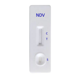 Hochpräzise und Qualitativ Hochwertige <span class=keywords><strong>NDV</strong></span> Ag Schnellteststreifen Veterinärmedizinischer Newcastle-Krankheitstest für Geflügel - Product Image 1