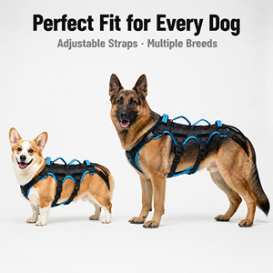 <strong>Dog</strong> Lift Harness for Large Male <strong>Dogs</strong>, 2-in-1 Detachable Hind Leg Support Harness <strong>Dog</strong> Full Body <strong>Carrying</strong> <strong>Sling</strong> with 4 Handles - Product Image 2