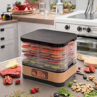 Appareils ménagers en acier inoxydable électrique séchoir à fruits déshydrateur pour viande fruits cuisine Mini déshydrateur alimentaire Machine