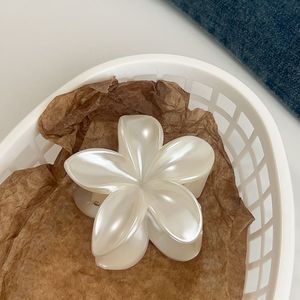 QianJin, оптовая продажа, заколки для волос с блестящими цветами, женские, новые, блестящие, дизайнерские, большие пластиковые аксессуары для волос - Product Image 6