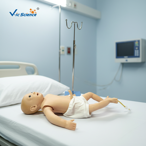 Acceso a la Punción Venosa Sistémica en Bebés - Venas del Cuello de la Pierna Derecha, Producto de Ciencia Médica - Product Image 4