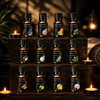 Ensemble de 12 Huiles Parfumées 10ml en Verre Ambré pour Diffuseur et Humidificateur – Idéal Cadeau et Vente en Gros