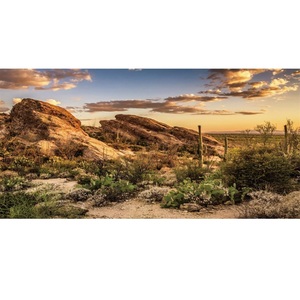 Gratis Ontwerp Custom Fishtank Aan Één Kant Zwart Blauw Aquaria Accessoires Hars Lijm Gel Voor <span class=keywords><strong>Aquarium</strong></span> 3d 4 Ft <span class=keywords><strong>Aquarium</strong></span> Achtergrond - Product Image 3