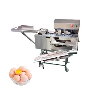 Automatic Hot Selling Egg Cracking Machine Salted Egg Yolk Cleaning Machine Egg Shell And Liquid Separator