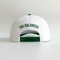 Gorra de Béisbol de 6 Paneles Personalizada de Alta Calidad, Gorra de Algodón para Exteriores con Logotipo Bordado, Estilo Dobby, Lazos Bordados a Mano, Características Comunes de la Tela