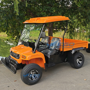 Voiture Classique Personnalisée avec Caisse de Transport, Chariot de Tourisme Convertible / Camion Classique Ancien Modèle Artisanal Spécial à Vendre - Product Image 1