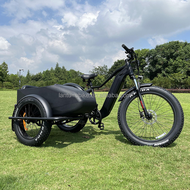 Top Selling Three Wheel 1000w Fat Tire Ebike with Sidecar