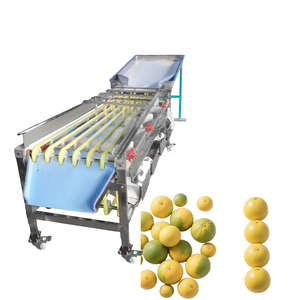 Machine de tri de légumes et de dattes commerciale à haut rendement, en promotion, fabriquée en Chine - Product Image 3