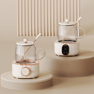 Bouilloire Électrique en Verre de Haute Qualité avec Contrôle de Température, Mini <span class=keywords><strong>Chauffe</strong></span>-<span class=keywords><strong>Eau</strong></span> Électrique : Bouilloire à <span class=keywords><strong>Eau</strong></span> Chaude Miniature de 400 ml - Product Image 5