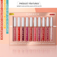 Kit de brillant à lèvres mat en boîte coffret cadeau de brillant à lèvres et rouge à lèvres personnalisable vente en gros