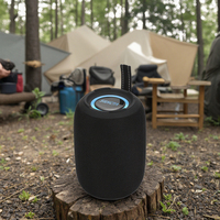 Mini haut-parleurs portables TWS Subwoofer sans fil à lumière LED RVB avec son stéréo de basse USB pour les fêtes musicales en plein air