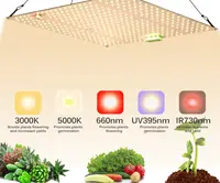 1000W Samsung LM281B Voll spektrum LED Grow Light Quantum Sunlike Grow Lampe für Gewächshaus pflanzen wachstums beleuchtung