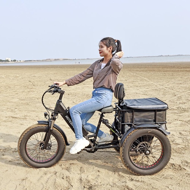 20inch Electric Cargo Bike Fat Tire Tricycle 250W-750W 48V Lithium Battery Brushless Motor Aluminum Frame E Trike