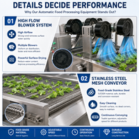 Industriële automatische voedselontwaterings-lucht droogmachine voor de verwerking van gewassen groenten, fruit, vlees en vis.
